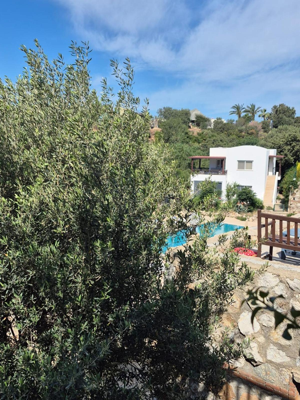 Ibak Apartments Gümüşlük Esterno foto